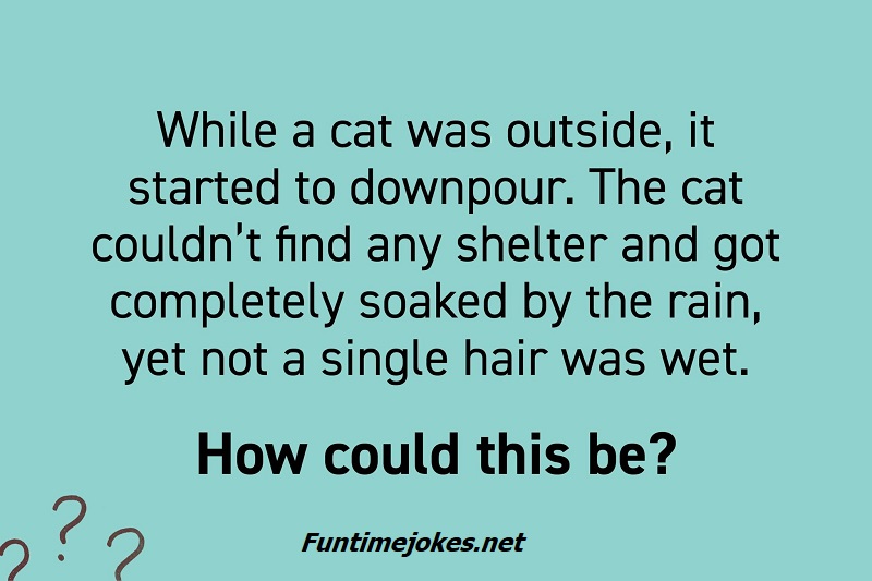 While a cat was outside, it started to downpour. The cat couldn’t find any shelter and got completely soaked by the rain, yet not a single hair was wet. How could this be?